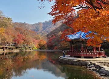 south-korea/naejangsan-national-park/restaurant/naejangsan-maple-ecology-park