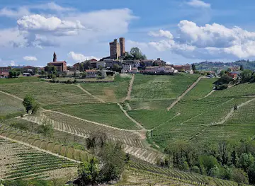 Albergo Ristorante La Rosa dei Vini - MIGLIOR CUCINA piemontese delle Langhe, Monferrato e Roero