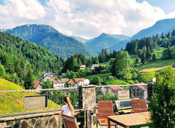 romania/rodnei-mountains/restaurant/hotel-roman