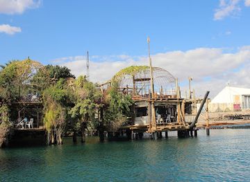 israel/eilat/coral-beach/restaurant/dolphin-reef-restaurant