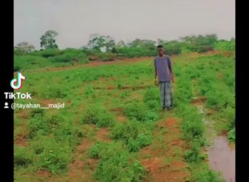 somalia/middle-shabelle/restaurant/maqsuud-restruarent