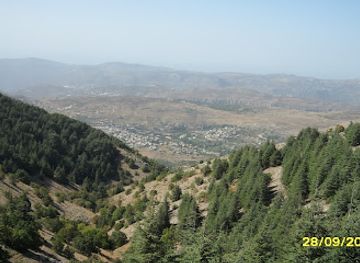 Shouf Cedars