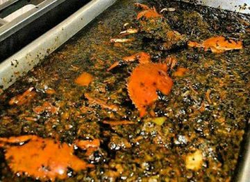 haiti/artibonite/restaurant/le-refuge