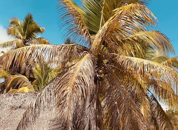 haiti/jacmel/restaurant/la-reference-bar-restaurant