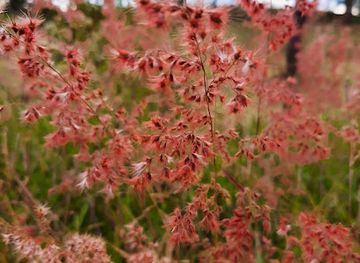 zimbabwe/chinhoyi/restaurant/fadili-photostore