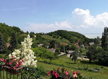 hungary/lake-balaton/restaurant/villa-kabala