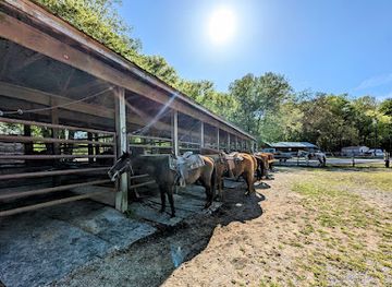kentucky/land-between-the-lakes-national-recreation-area/restaurant/wranglers-campground-land-between-the-lakes