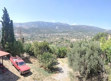 greece/euboea/restaurant/traditional-tavern-ta-dirrefmata-kechris-dimitrios