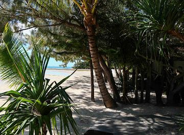 new-caledonia/ile-des-pins/restaurant/la-pirogue