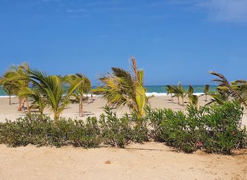 cabo-verde/praia-do-curral-velho/restaurant/africa-restaurant-riu-palace