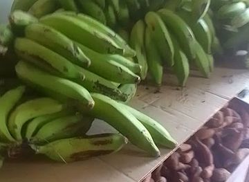 comoros/fomboni/restaurant/salamane