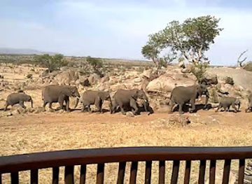 tanzania/serengeti-national-park/restaurant/boma