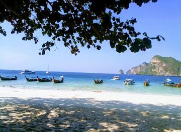 thailand/koh-phi-phi/restaurant/calamaro-restaurant