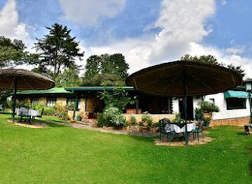 zimbabwe/nyanga/restaurant/pine-tree-inn-nyanga