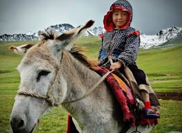 kyrgyzstan/kochkor/restaurant/destination-kochkor