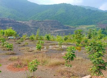 myanmar-burma/kachin-state/restaurant/shwe-yaung-linn-restaurant