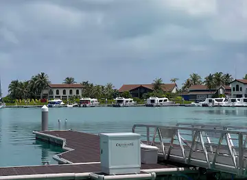 KINKAO