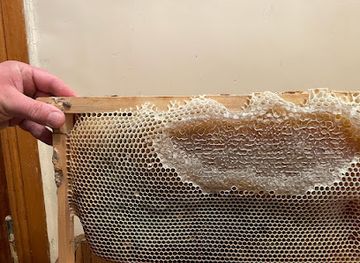 armenia/vanadzor/restaurant/lori-meghr