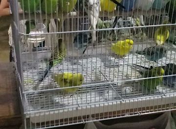 dominican-republic/cordillera-septentrional/restaurant/home-restaurant