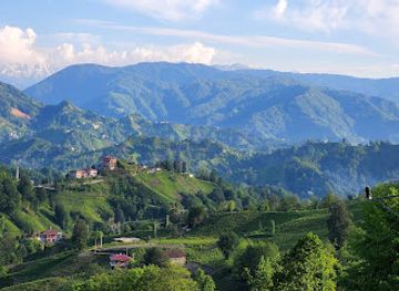 turkiye/kackar-mountains/restaurant/kackar-mountains