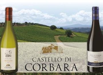 italy/umbria/restaurant/cantina-castello-di-corbara