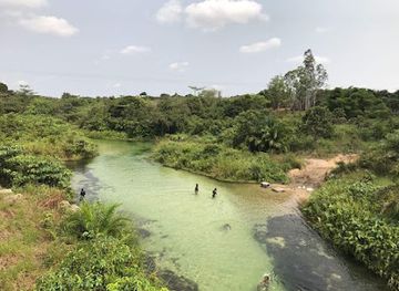 gabon/mayumba-national-park/restaurant/delektable