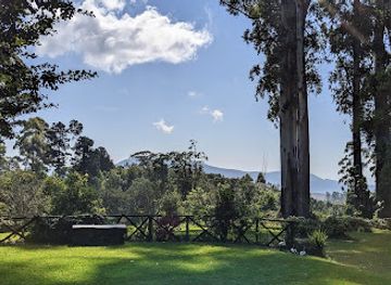 zimbabwe/chimanimani-national-park/restaurant/tonys-coffee-and-chocolate-shop