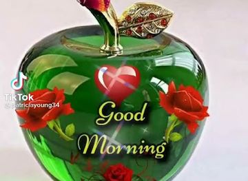 trinidad-and-tobago/tunapuna/restaurant/shereen-s-food-delight