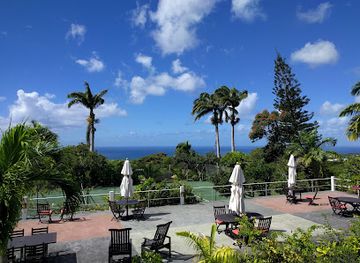 saint-kitts-and-nevis/saddle-hill/restaurant/restaurant-at-montpelier-plantation-inn