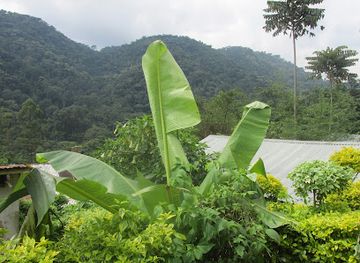 uganda/bwindi-impenetrable-national-park/restaurant/bwindi-view-lodge