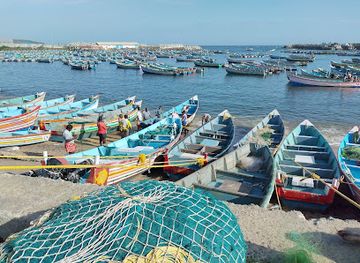 india/kovalam/restaurant/samovar