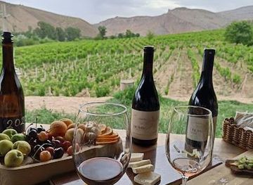 armenia/vayk/restaurant/momik-winecube
