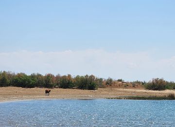 uzbekistan/aydarkul-lake/restaurant/aydar-lake