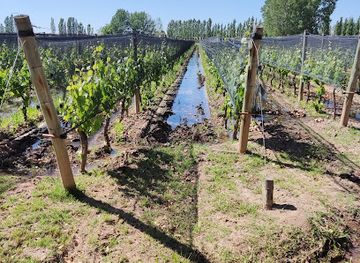 argentina/mendoza-wine-region/restaurant/hacienda-del-plata