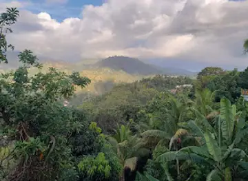 Reggae Mountain Lounge