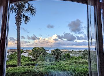 florida/amelia-island/restaurant/salt