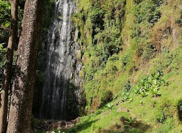 tanzania/kilimanjaro-region/restaurant/kilmasu-hiking-coffee