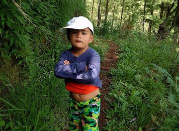 philippines/cordillera-administrative-region/restaurant/dn-s-eatery