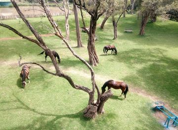 kenya/mount-kenya-national-park/restaurant/bantu-lodge