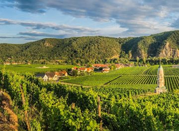 austria/wachau-valley/restaurant/wolfgang-bauerl