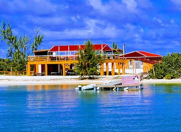 british-virgin-islands/west-end/restaurant/the-wonky-dog