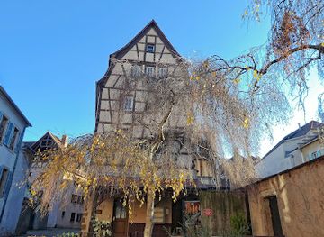 france/colmar/restaurant/luser-stub