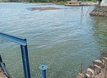 ethiopia/lake-tana/restaurant/lake-tana-biosphere-reserve