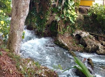 jamaica/negril/restaurant/juicy