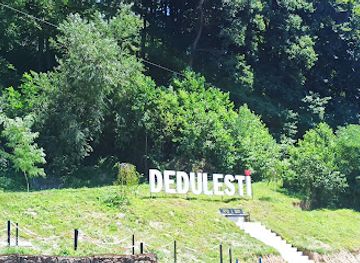 romania/buila-vanturarita-national-park/restaurant/comdivers-restaurant-micii-de-dedulesti