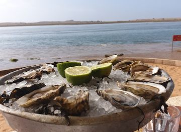 morocco/doukkala-abda/restaurant/ostrea