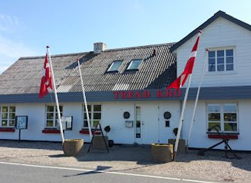 denmark/limfjord/restaurant/trend-kro