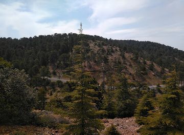 cyprus/troodos-mountains/restaurant/dolphin-cafe-restaurant