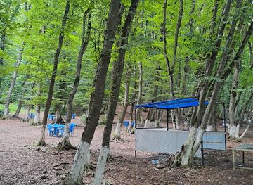 azerbaijan/quba/restaurant/abu-dhabi-geceleri