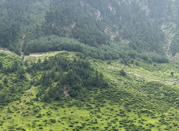 pakistan/kaghan/restaurant/shinwari-ronaq-restaurant